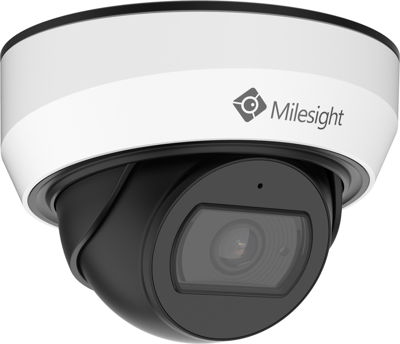 Picture of MS-C2975-RPC40, AI Mini Dome, 
Bauart: AI Weather Proof Mini Dome Camera
Auflösung: 2 MP, , WDR bi